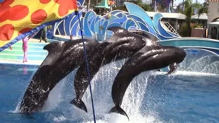 Blue Horizons: Pilot Whale Finale (6/20/14)