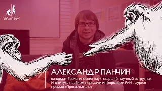 Александр Панчин о фонде «Эволюция»