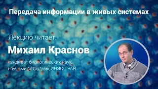 Михаил Краснов. Передача информации в живых системах