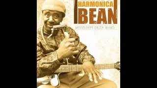 Terry Harmonica Bean & The Cornlickers - Bad blues