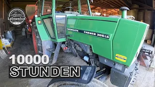 Genug Futter für den Winter? #FarmVlog 158