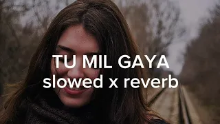 Tu mil gaya song slowed and reverb 2024.Trending song