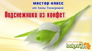 Подснежники из конфет и гофрированной бумаги своими руками. Snowdrops of sweets with their hands.