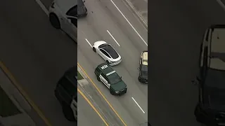 Crazy GTA-Like High Speed Chase | LX News