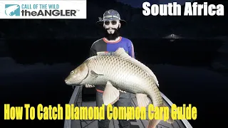 Call of the Wild The Angler South Africa, How To Catch Diamond Common Carp Guide