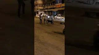 Rottweiler attack