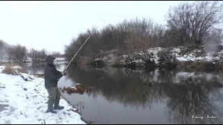 Рыбалка на налима осенью 2022. #15. Ловля налима на донки на реке в ноябре на живца. Тычки на налима