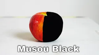 Musou Black—The (New) World's Blackest Paint Turns Anything Into A Shadow