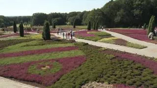 Schneverdingen in der Lüneburger Heide