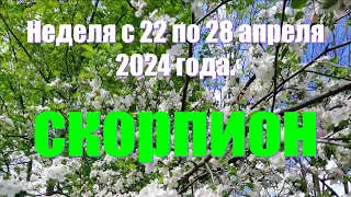 Неделя с 22 по 28 апреля 2024 года.СКОРПИОН ♏️