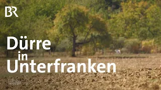 Dürre: Wassermangel in Unterfranken | Gut zu wissen | BR