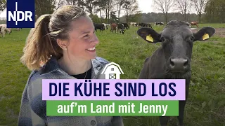 Weideauftrieb: Der große Tag bei Jenny und Sven Ole | Folge 12 | NDR auf'm Land