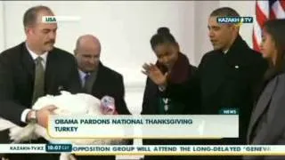 Обама помиловал индюка Попкорна в честь Дня благодарения