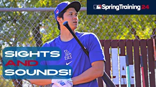 More Shohei Ohtani Batting, Yamamoto Bullpen Look, Dodgers Spring Training Highlights Feb 21