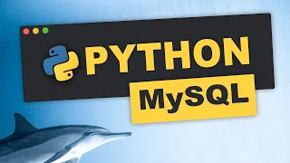 Python MySQL | Datenbanken erstellen | Tutorial (Deutsch) | für Anfängerinnen und Anfänger 🐬