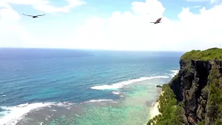 Las Galeras / DRONE