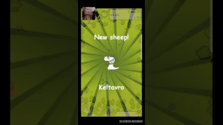 Episode one of sheep evolution