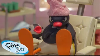 Pingu Loves Life | Pingu - Official Channel | Cartoons For Kids