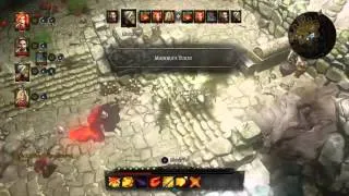 Divinity : Original Sin Enhanced Edition Braccus Fight