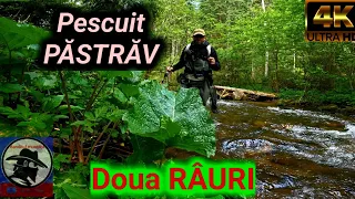 PESCUIT PĂSTRĂV pe doua RÂURI din APUSENI! trout fishing!