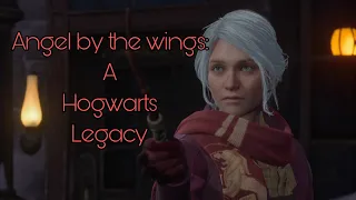 GMV - Angel by the wings - A Hogwarts Legacy