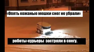 «Опять кожаные мешки снег не убрали»: Эстонские роботы-курьеры  застряли в снегу.