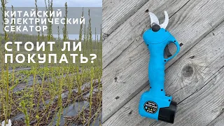 Электрический секатор. Китай. Стоит ли покупать?