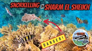 SHARM EL SHEIKH - CORAL SEA WATERWORLD - EGYPT 🇪🇬 PART 1