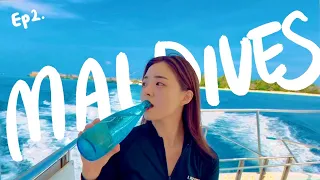 몰디브 신혼여행 Vlog  |  Ep2. 스노클링으로 거북이🐢 세 마리나 만난 밀라이두 수중환경!  | Snorkeling in Maldives