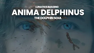 Epic Dolphin Experience in Egypt | Red Sea Sataya Dolphin Reef 2023 | ANIMA DELPHINUS