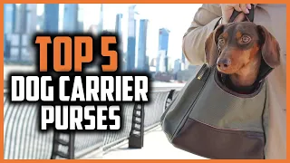 ✅ Top 5 Best Dog Carrier Purses of 2024