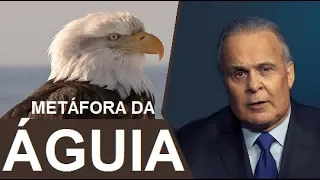 A METÁFORA DA ÁGUIA - Dr. Lair Ribeiro