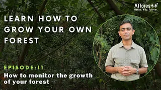 Ch:11 | Growth Monitoring | Forest Creation Tutorials | English