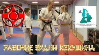 Рабочие будни кекусинкай каратэ. Kyokushinkai karate training.