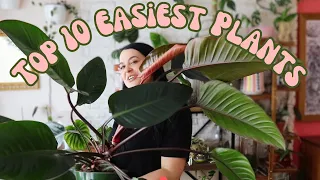 Low Light Houseplants You'll Love 🌿 Easiest Plants To Take Care Of