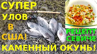 ОТЛИЧНЫЙ УЛОВ КАМЕННОГО ОКУНЯ И РЕЦЕПТ СЕВИЧЕ!!! МОРСКИЕ ЕЖИКИ! РЫБАЛКА В США!