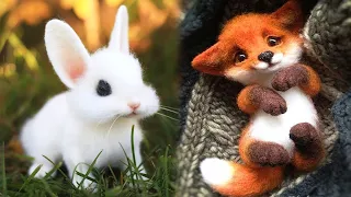 OMG Animals SOO Cute! AWW Cute Funny baby animals Videos Compilation CUTEST moment of the animals :