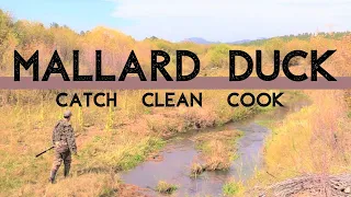 MALLARD DUCK {Catch, Clean & Cook} Colorado Public Land