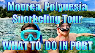 Moorea, French Polynesia - Snorkeling Tour - What to Do on your Day in Port