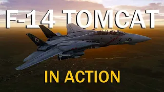 AIM-54 Phoenix In Action | PVP | F-14 Tomcat | DCS