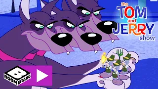 Tom és Jerry | Háromfejű kutya | Cartoonito