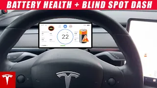 Discover the Tesla Model 3/Y's Surprising NEW Portable Instrument Cluster Display!