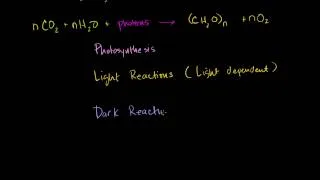 Introduction to Photosynthesis, Khan Academy