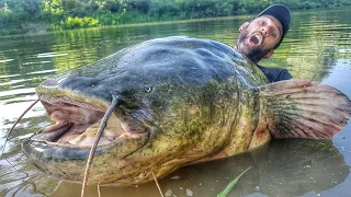 INCREDIBLE HUGE CATFISH 8,5 FEET X 250 LBS LIVE ATTACK by YURI GRISENDI