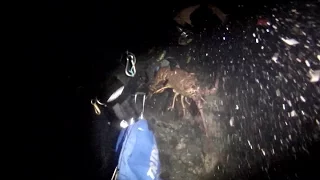 California Lobster Opener 2015