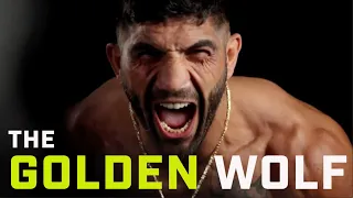 The Golden Wolf: Bahram Rajabzadeh