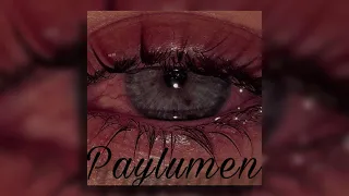 Daw47 - Paylumen ( 2024 / Official Music )