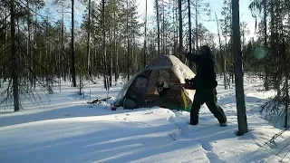 Бензопила, палатка и печка в тайге.( треть часть)