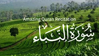 Lofi Quran Recitation of Surah An Naba' سورة النباء | Relaxing | Ambience | Sleep | عم