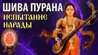 Былина из Шива Пураны. Испытание мудреца Нарады.